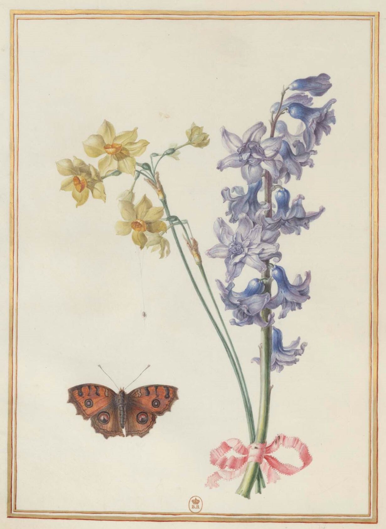 2022-BNF-71_RES JD-33-PET FOL - Basseporte, Fleurs 7r - IFN-6955086 27.jpg